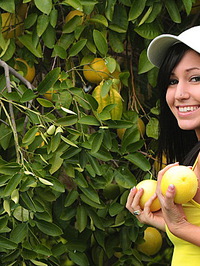 Catie Minx Garden Party #00