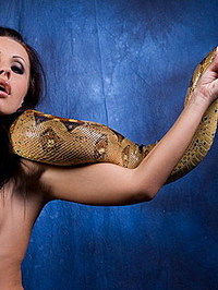 Nikki Rider With Snake #01