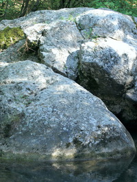Nature Hike #00