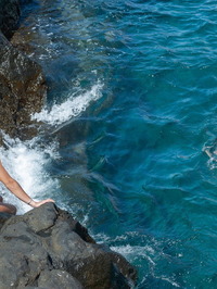 Ocean Lovers #00