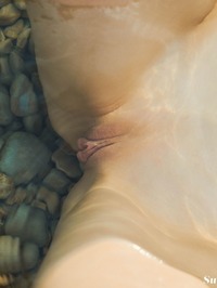 Call of the Siren #19