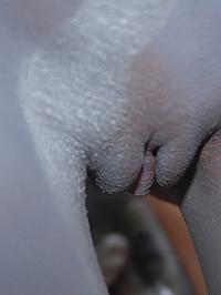 Molly Cavalli cammo coochies #09